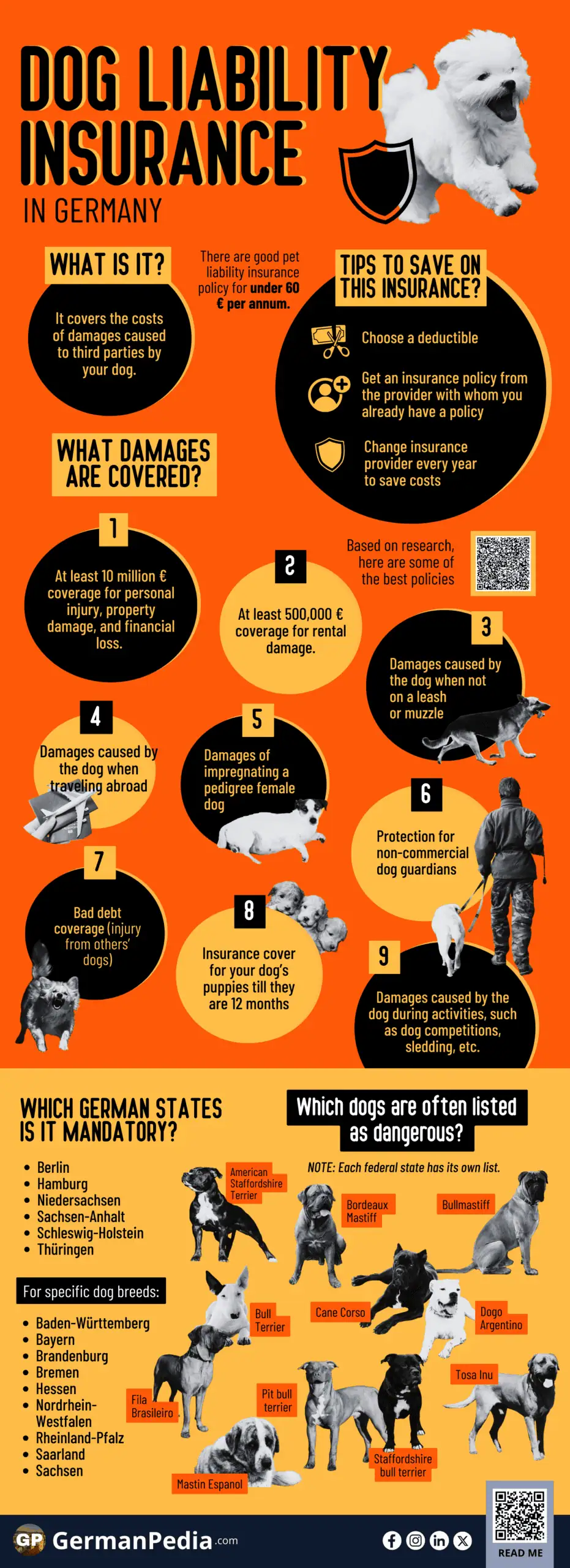 Best dog liability insurance