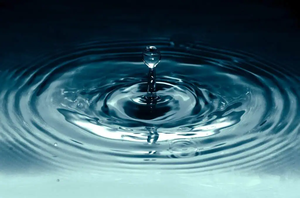 Water Stress Is Declining in Most EU Countries