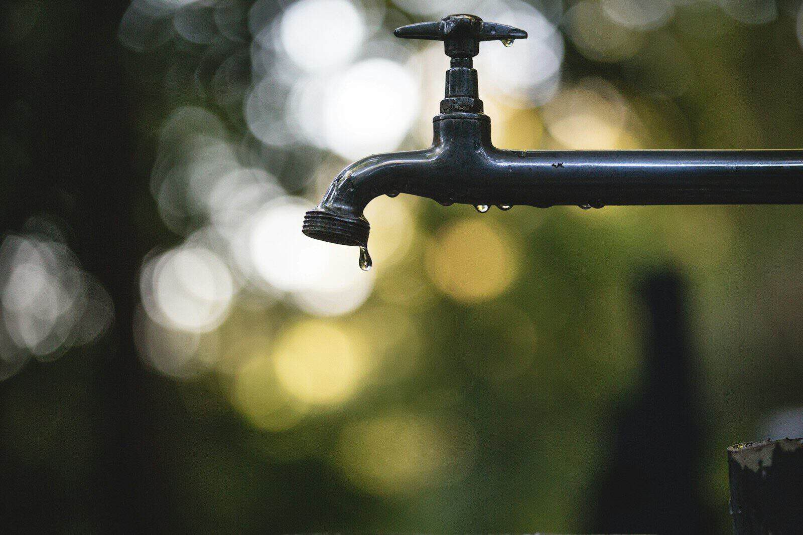 EU Self-Supplied Water Use by Economic Sector