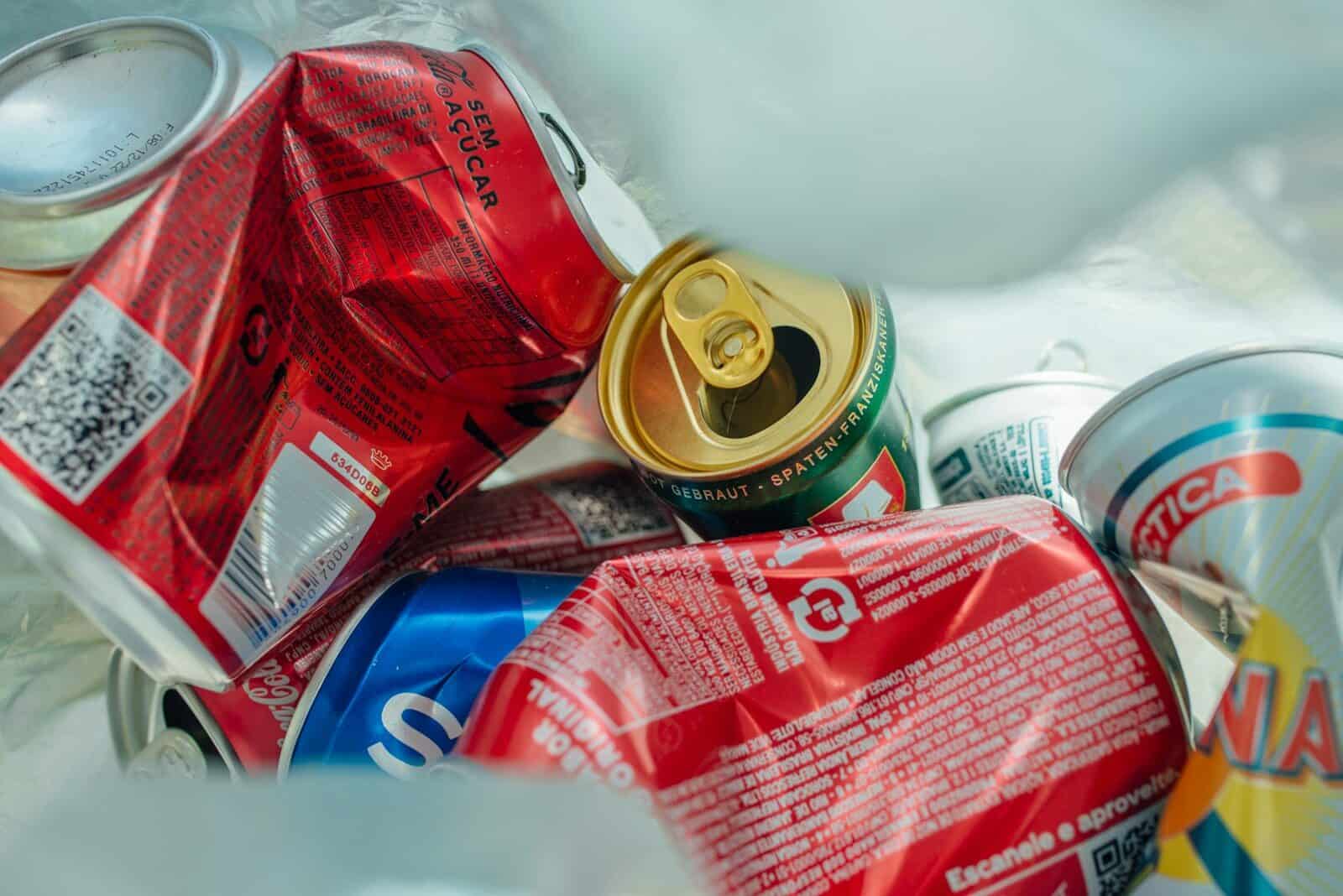 Which EU Country Recycles the Most?