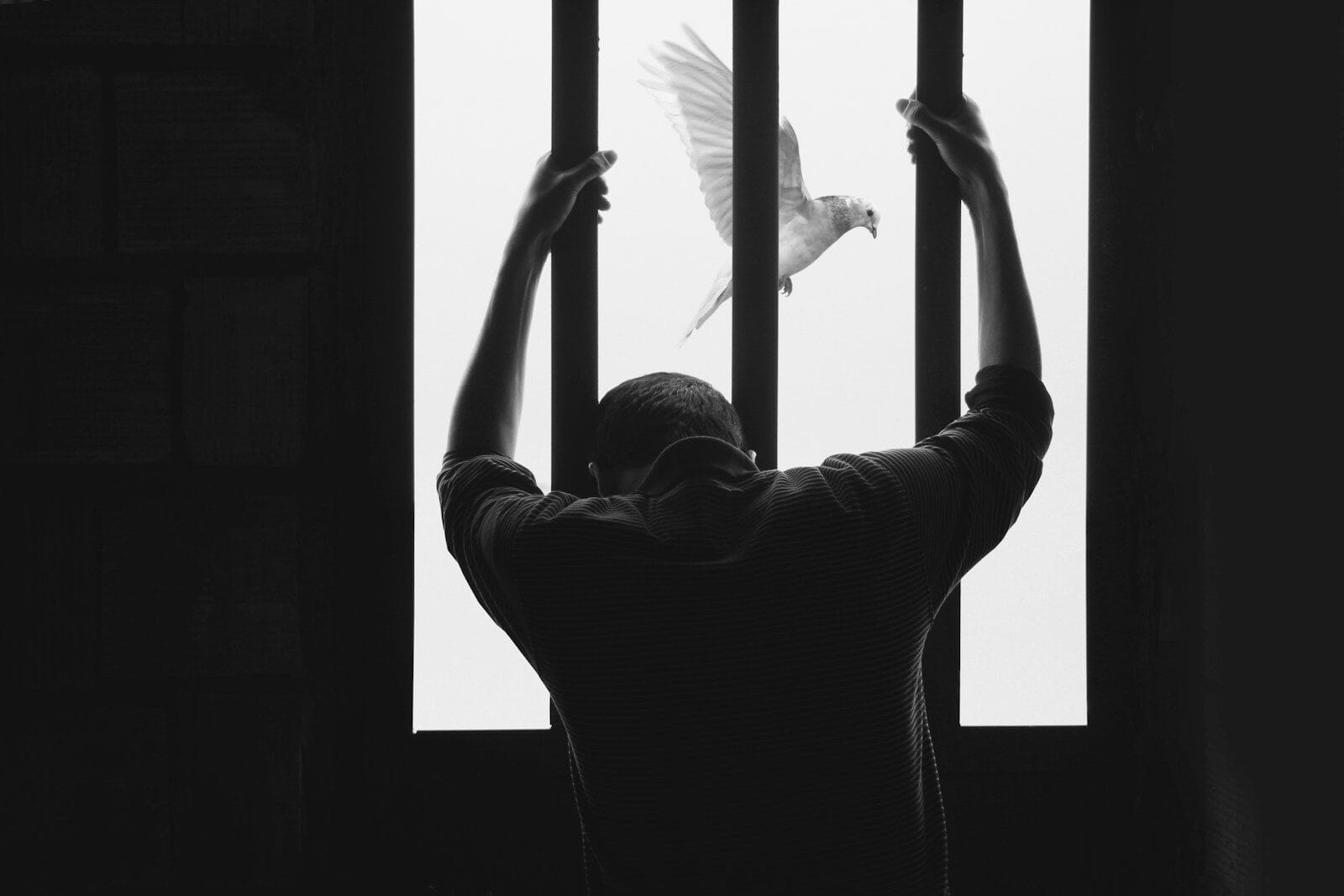 How many Foreign National Prisoners are in the EU?
