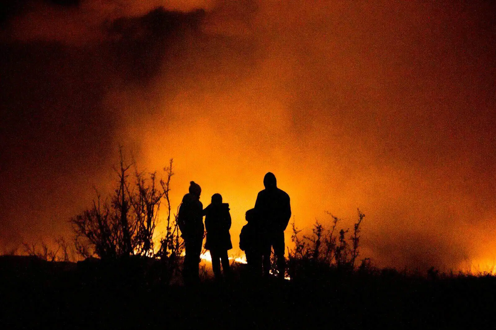 Which EU Country Loses the Most Land to Wildfires?